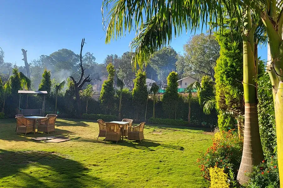 Pandav greens